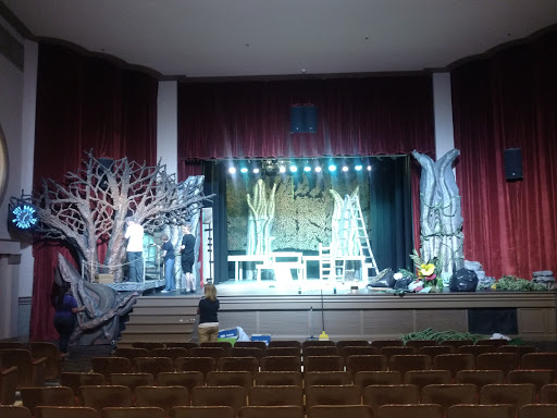 Performing Arts Theater «The Park Theater», reviews and photos, 115 W Main St, McMinnville, TN 37110, USA