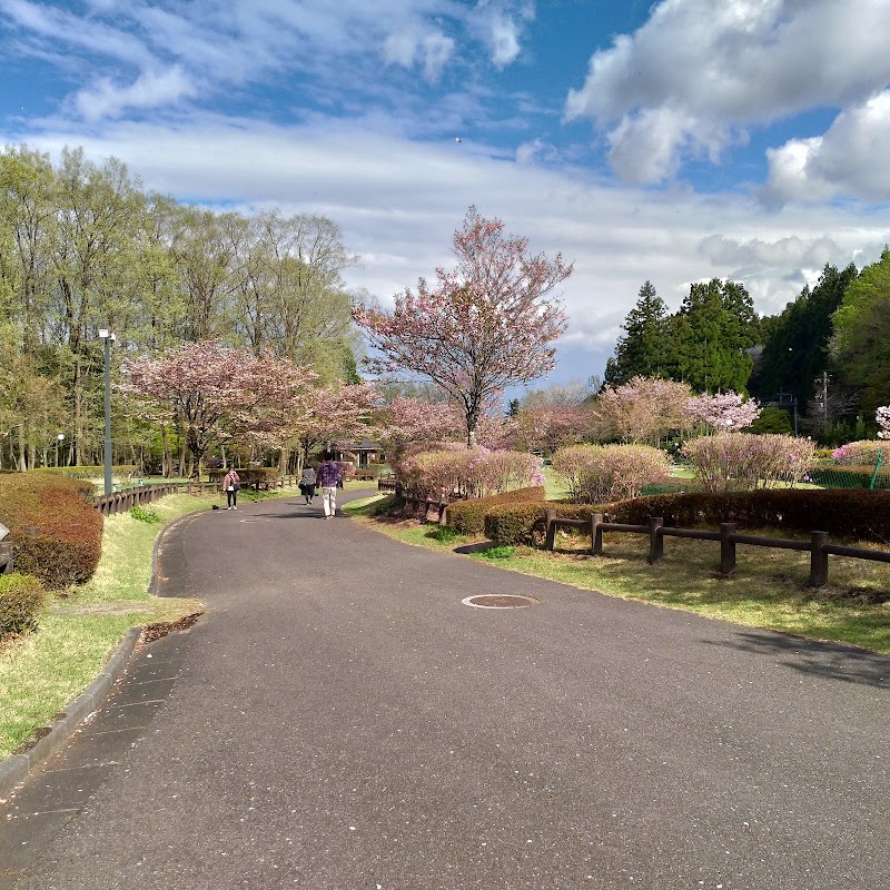 大谷川公園アスレチック 栃木県日光市瀬川 公園 公園 グルコミ