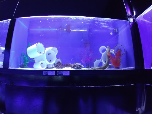 Pet Store «Pet Cove», reviews and photos, 820 E Center St, Kingsport, TN 37660, USA