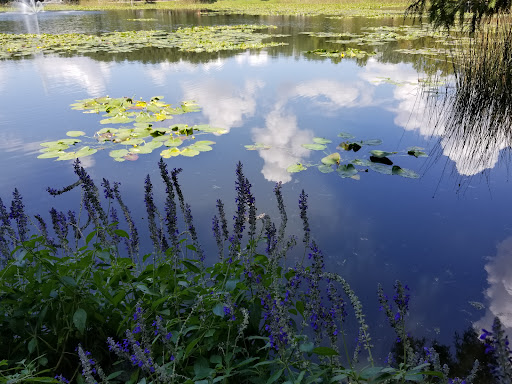 Park «Lake Lily Park», reviews and photos, 900 S Orlando Ave, Maitland, FL 32751, USA