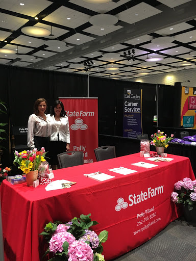 Insurance Agency «Polly Piland - State Farm Insurance Agent», reviews and photos