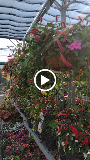 Home Improvement Store «The Home Depot», reviews and photos, 541 Kings Hwy Cutoff, Fairfield, CT 06824, USA