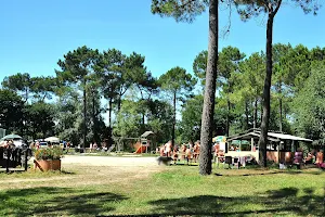 La Pinède - Camping naturiste - Club Naturiste Bretagne Sud (CNBS)** image