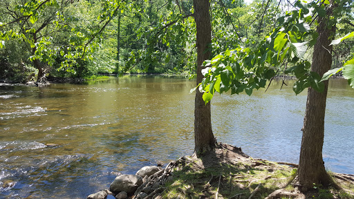 Nature Preserve «Burns-Stokes Preserve», reviews and photos, Zeeb Rd, Dexter, MI 48130, USA