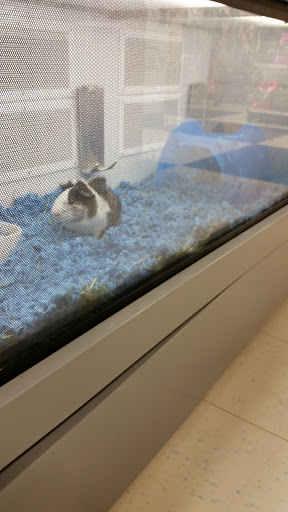 Pet Supply Store «Petco Animal Supplies», reviews and photos, 8010 Wedgewood Ln N, Maple Grove, MN 55369, USA