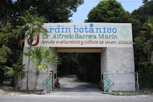 Jardín Botanico Dr. Alfredo Barrera Marín image