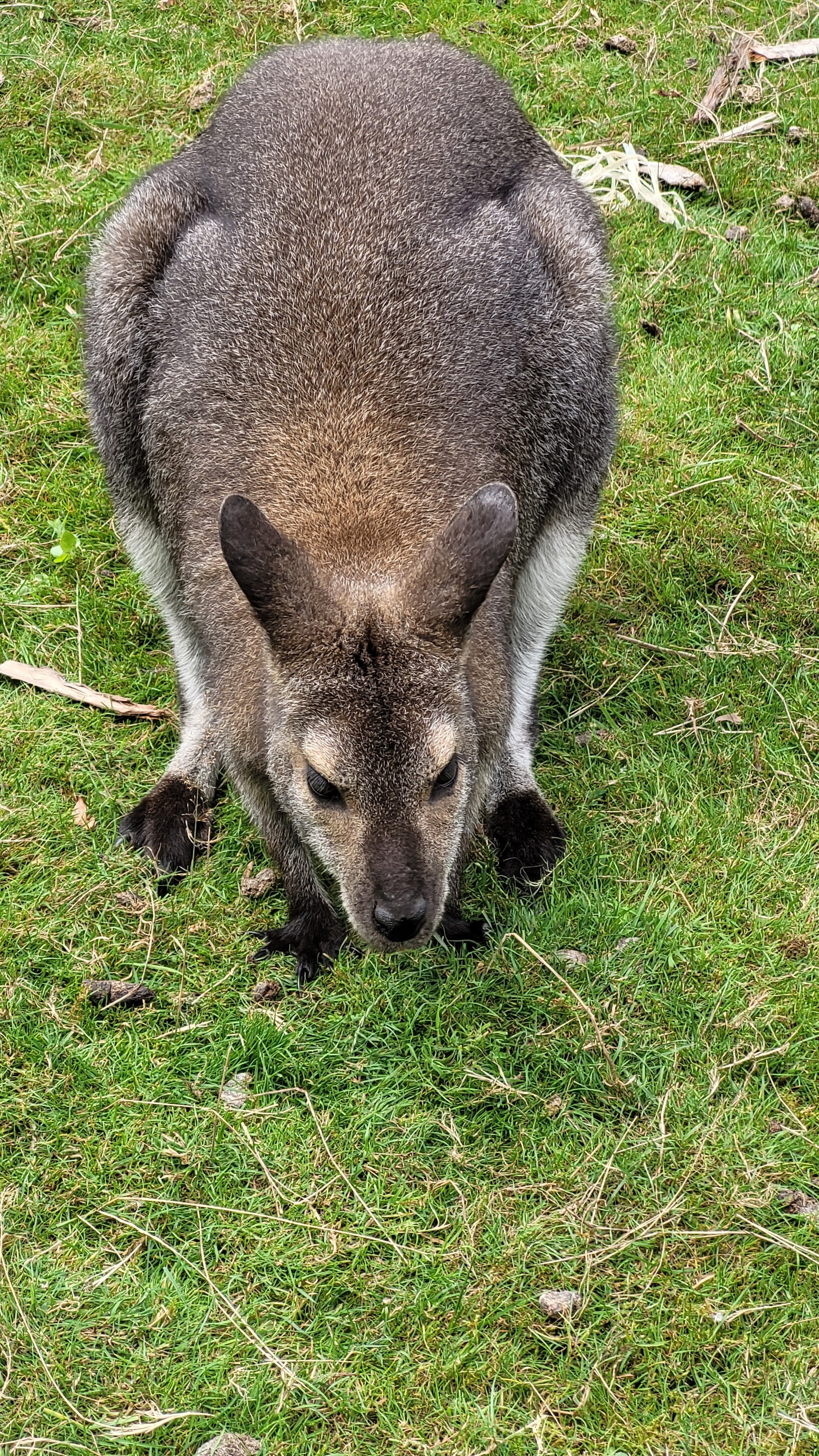 Photo n° 1 de l'avis de Stéphane.L fait le 26/08/2021 à 16:08