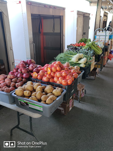 Produce market New Haven