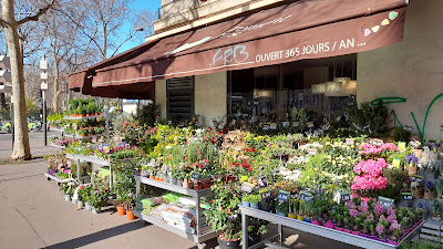 Carrément Fleurs - Fleuriste Paris 75 4ème arrondissement - Livraison de fleurs à Paris