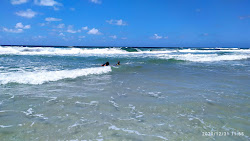 Pottsville Beach'in fotoğrafı vahşi alan