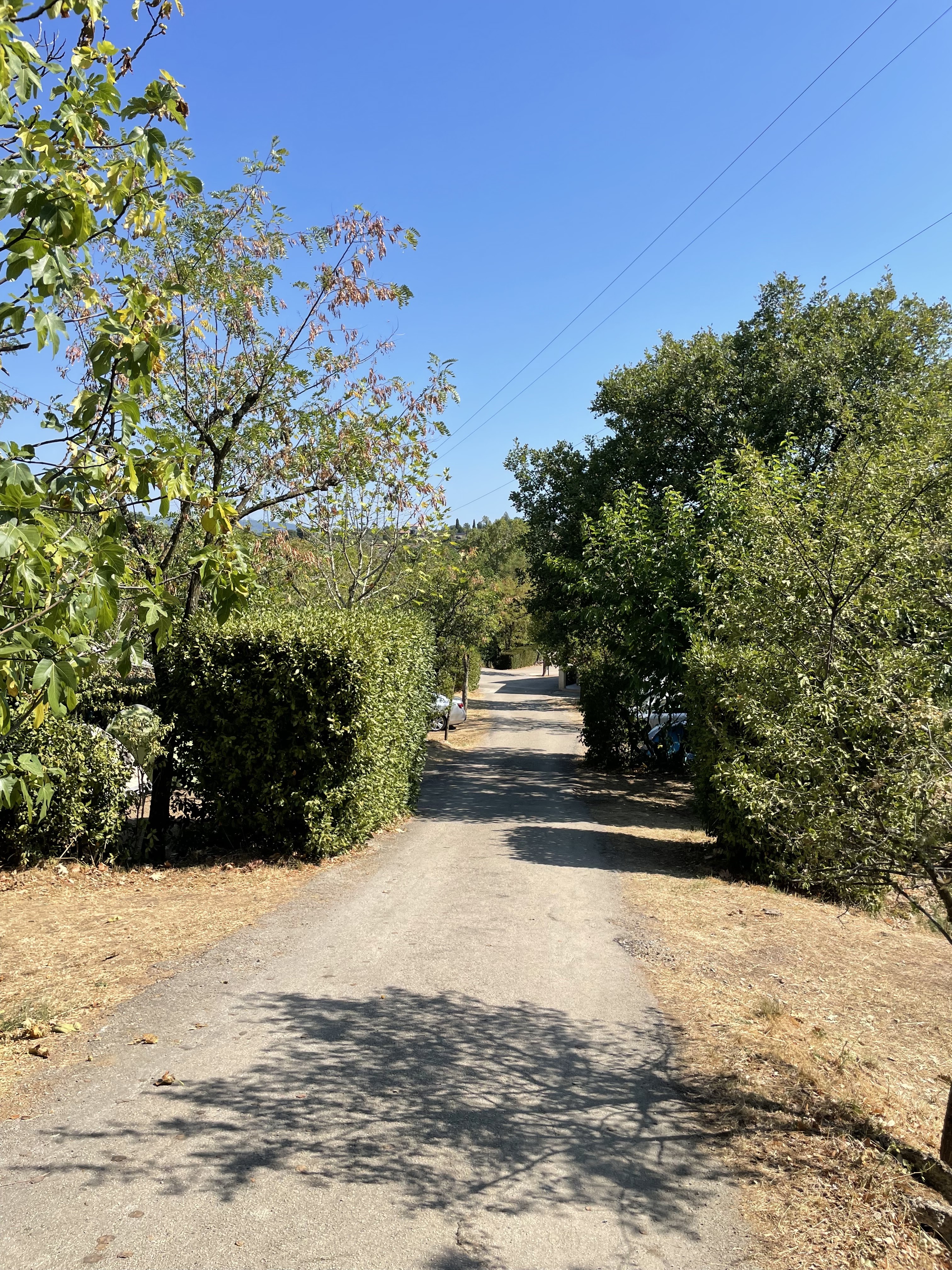 Photo n° 13 de l'avis de M..i fait le 17/08/2022 à 08:58