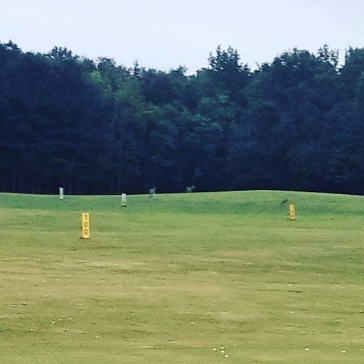 Golf Driving Range «Atlanta Golf Center», reviews and photos, 1100 Beaver Ruin Rd, Norcross, GA 30093, USA