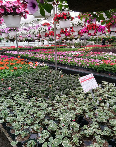 Plant Nursery «Blooming Acres», reviews and photos, 7561 State Rd, Wadsworth, OH 44281, USA