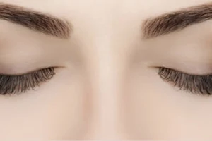 Fantastic Eyebrows image