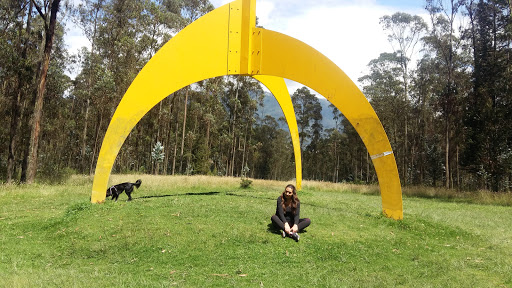 Campings perros Quito