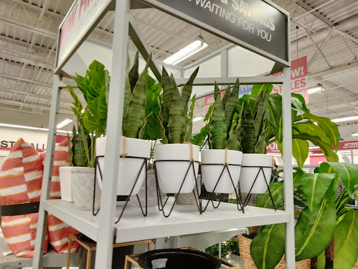 Clothing Store «Burlington Coat Factory», reviews and photos, 10 Prospect Hill Terrace, East Windsor, CT 06088, USA