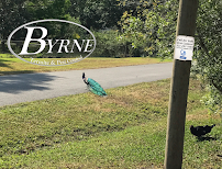 Byrne Termite & Pest Control - Photo 5 - Car repair in , Orlando