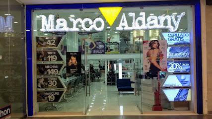 MARCO ALDANY ICA