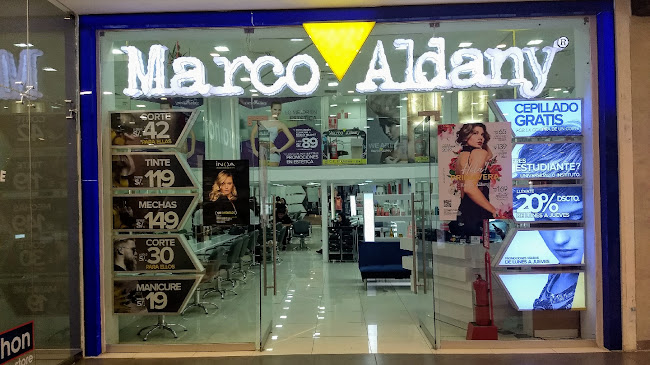 MARCO ALDANY ICA