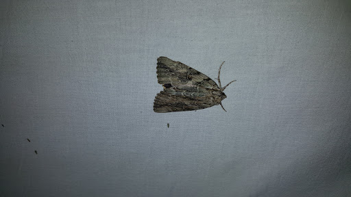 Nature Preserve «Wolf Creek Environmental Center», reviews and photos, 6100 Ridge Rd, Wadsworth, OH 44281, USA