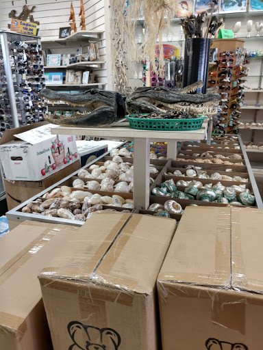 Gift Shop «Big Shark», reviews and photos, 2715 N Atlantic Ave, Daytona Beach, FL 32118, USA