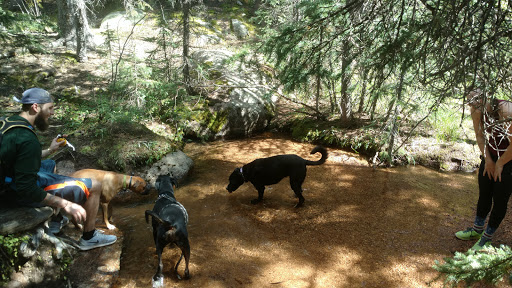 Cultural Center «Pikes Peak Center», reviews and photos, 190 S Cascade Ave, Colorado Springs, CO 80903, USA