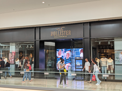 Hollister Co.