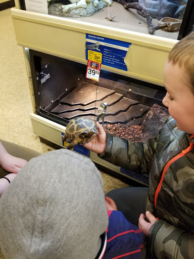 Pet Supply Store «PetSmart», reviews and photos, 1846 Wentzville Pkwy, Wentzville, MO 63385, USA