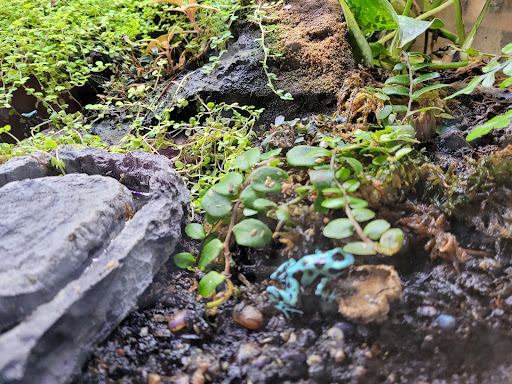 Pet Store «Fins Feathers Paws & Claws», reviews and photos, 436 Main St, Harleysville, PA 19438, USA