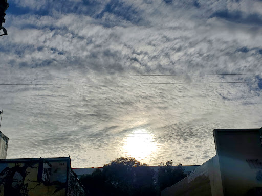 Shoe Store «Shiekh Shoes», reviews and photos, 2627 Mission St, San Francisco, CA 94110, USA