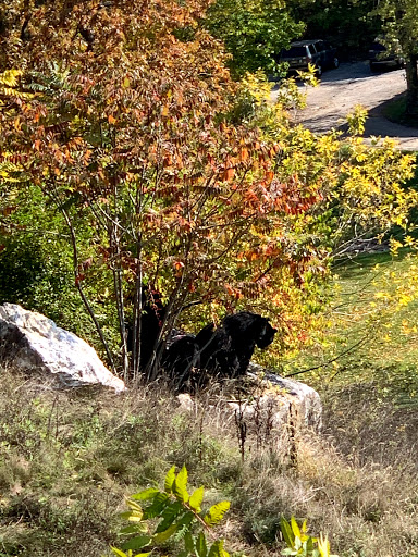 Country Club «Great Gorge Golf Course», reviews and photos, 414 County Road 517, Vernon Township, NJ 07462, USA