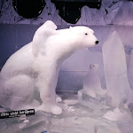 Photo n°6 de l'avis de Derrick.e fait le 11/08/2022 à 14:23 sur le  Berlin Icebar à Berlin