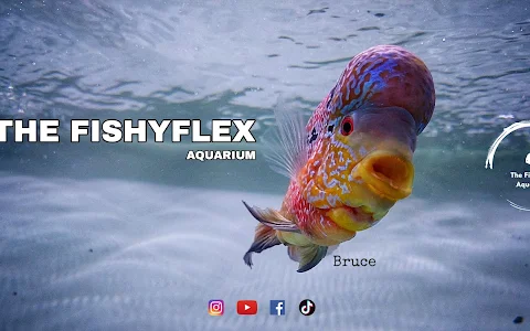 The Fishyflex image