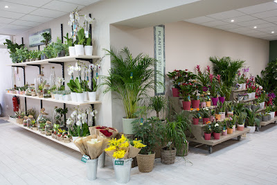 Le Jardin des Fleurs à Talmont-Saint-Hilaire