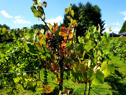 Winery «Dalice Elizabeth Winery», reviews and photos, 6 Amos Rd, Preston, CT 06365, USA