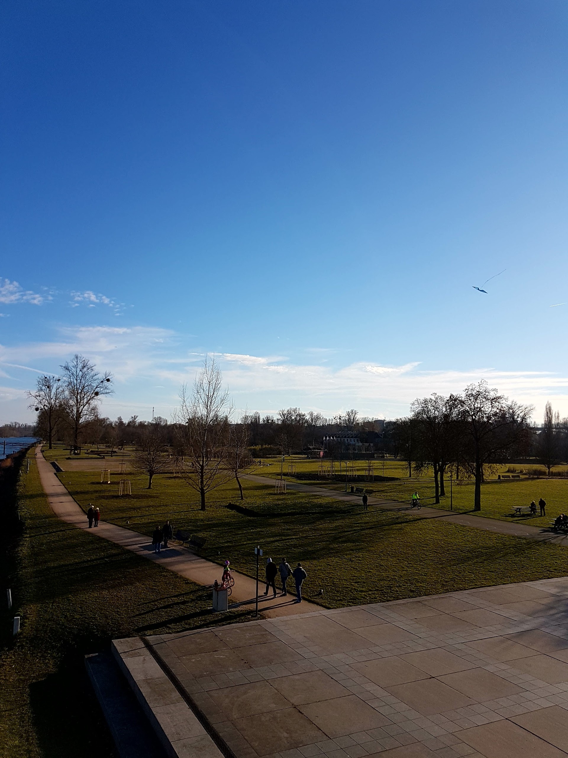 Photo n° 5 de l'avis de Vincent.I fait le 27/02/2017 à 15:12