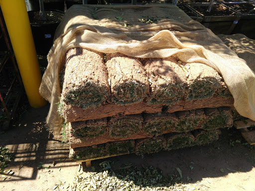 Home Improvement Store «The Home Depot», reviews and photos, 3860 Stockton Hill Rd, Kingman, AZ 86409, USA