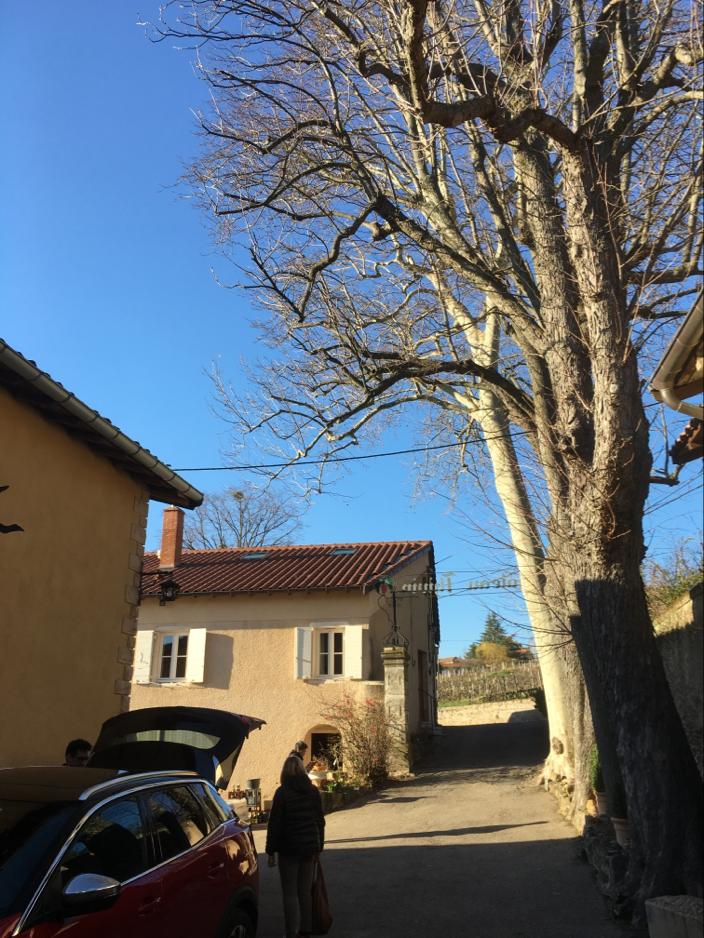 Photo n° 4 de l'avis de Nicolas. fait le 25/02/2020 à 19:28