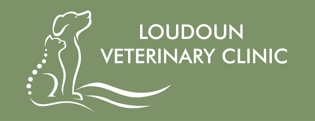 Loudoun Veterinary Clinic - Glasgow