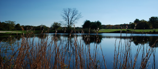 Golf Course «Whitney Farms Golf Course», reviews and photos, 175 Shelton Rd, Monroe, CT 06468, USA