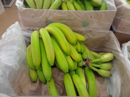 Grocery Store «Save-A-Lot», reviews and photos, 810 Oley St, Reading, PA 19604, USA