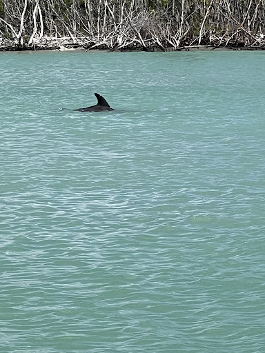 Boat Rental Service «Boat Rentals at Naples Bay Resort», reviews and photos, 1500 5th Ave S, Naples, FL 34102, USA