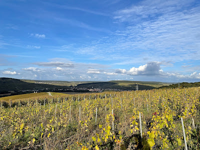Champagne de Villepin SAS à Boursault