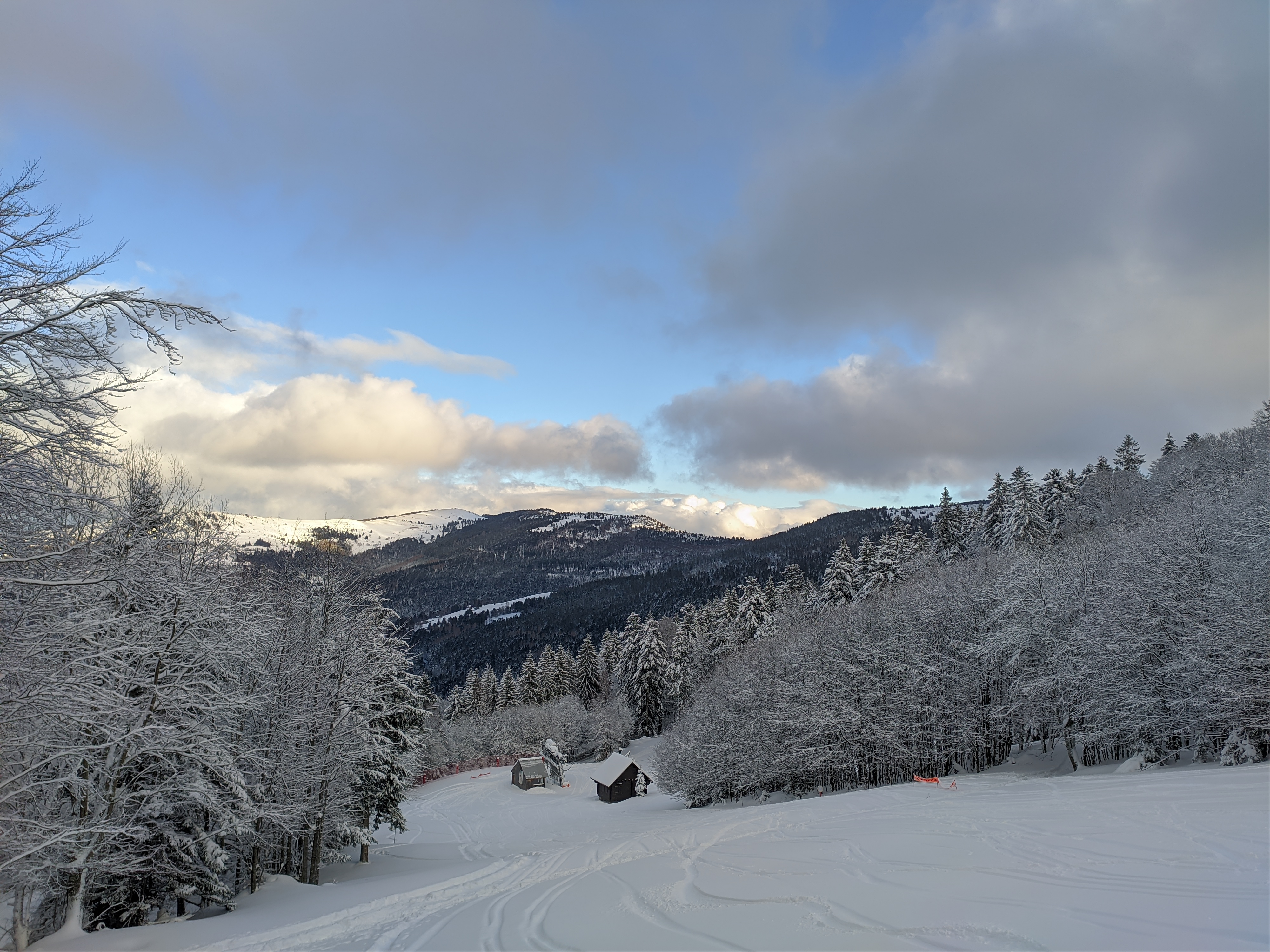 Photo n° 10 de l'avis de Stvn. fait le 31/12/2020 à 07:58
