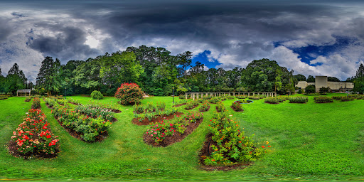 Raleigh Municipal Rose Garden