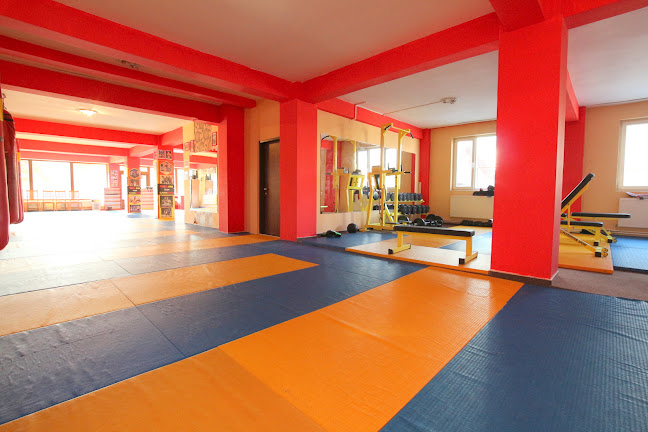 Comentarii opinii despre PRINCE GYM K-1 Sala MMA Sector 6, Bucuresti. Instructor K1, Kickboxing