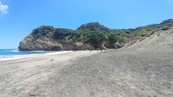 Te Henga Beach