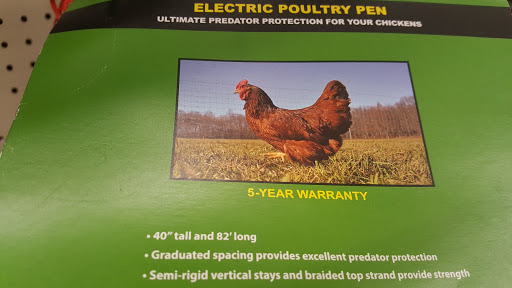 Auto Repair Shop «Falcon Auto Service Center», reviews and photos, 14195 US-24, Peyton, CO 80831, USA