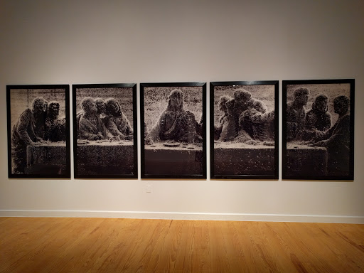 Museum «Station Museum of Contemporary Art», reviews and photos, 1502 Alabama St, Houston, TX 77004, USA