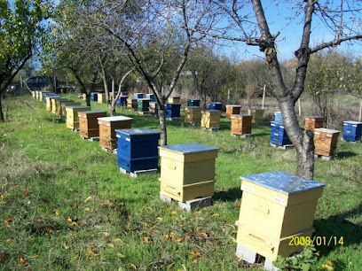 Bulgarian Honey (Honey Bee Farm Sdn.Bhd)